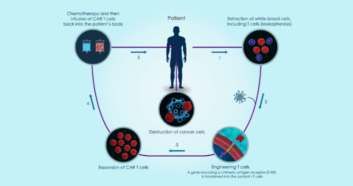 Enabling Cell and Gene Therapy Start Ups to Thrive and Deliver
